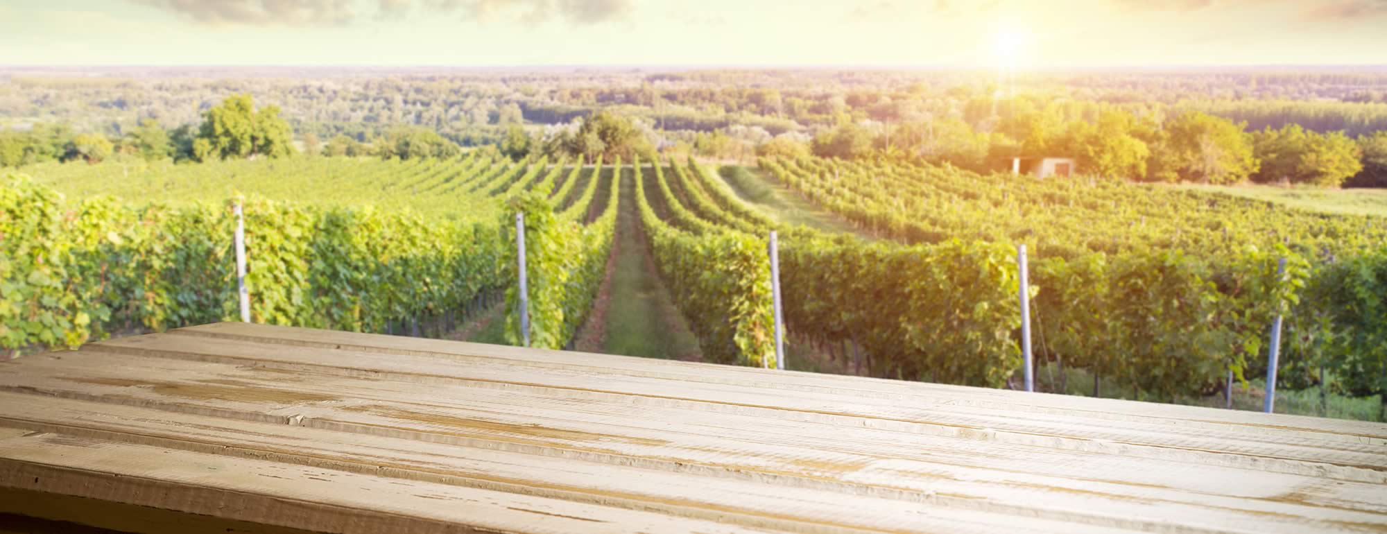 Les Recettes Louis Chomel Domaine Louis Chomel